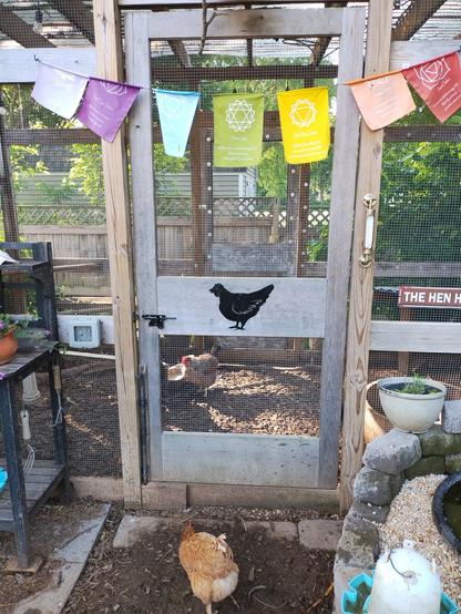 A wooden door to a chicken run