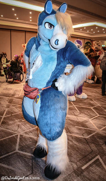 This is a full-body portrait of a blue pegasus fursuiter standing amongst other fursuiters in a panel room at ConFuzzled 2025. He's turned slightly towards the camera with his left leg forward and hands on his hips, and he's wearing a red and orange waist pack with con badges hanging from it.