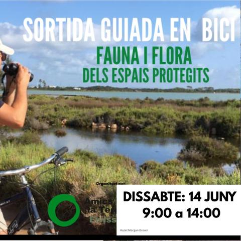 RUTA GUIADA EN BICI PER SES SALINES DE FORMENTERA!