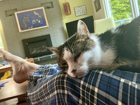 Mar screams very early in the morning so I get up and she can then nap on my lap.