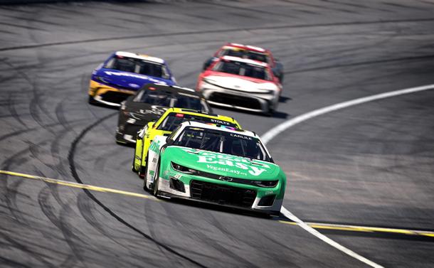 Simulated NASCAR stock cars on track. Focus on the number 81 Chevrolet. White, green, and black color scheme. VeganEasy.org the primary sponsor.