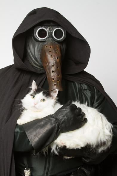 cute cat being hugged by someone in a plague suit, or perhaps Garindan ezz Zavor from Star Wars