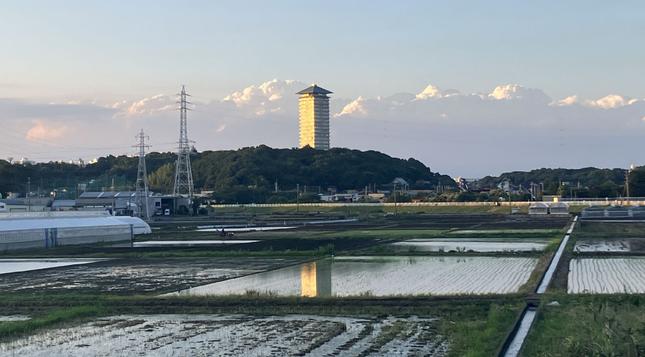 The nice countryside landscape along the bike path. Some rice fields have water already.