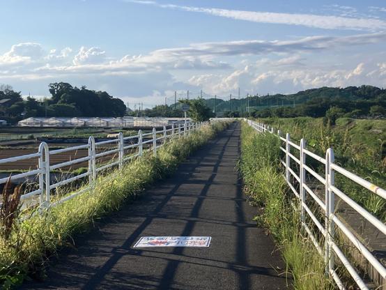 Nobody on the bike path just before the sunset time. It's calm.