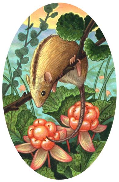 A painting of a striped field mouse on a branch looking down at a field of cloud berries.