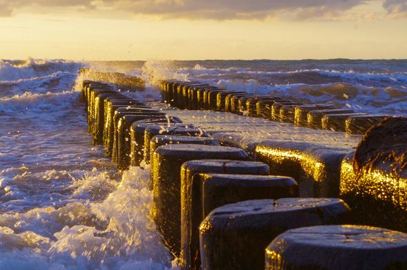 Eine Doppel-Reihe Buhnen im Meer, die von Wellen überspült werden. Der Zwischenraum zwischen den Reihen ist mit Steinquardern gefüllt. Der Schein der untergehenden Sonne von links beleuchtet die Buhnen, die dadurch in einem goldenen Licht erscheinen. Der Kontrast zwischen dem dunklen Holz und dem hellen Wasser erzeugt ein stimmungsvolles Bild. Die Wellen schlagen gegen die Buhnen und spritzen Wasser hoch.