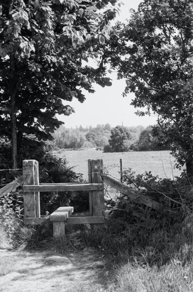 Stile. It looks nice and low on this side, but it drops another foot or two on the other side.