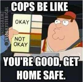 Family Guy meme with Cops with color charts with skin tones.

"Cops by  like, you're good, get home safe."