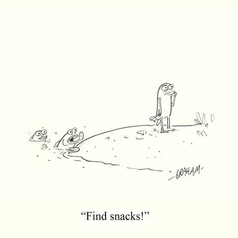 A cartoon illustration of a fish who has grown legs standing on land while a fish still in the water is talking to him. Caption reads "Find snacks!"