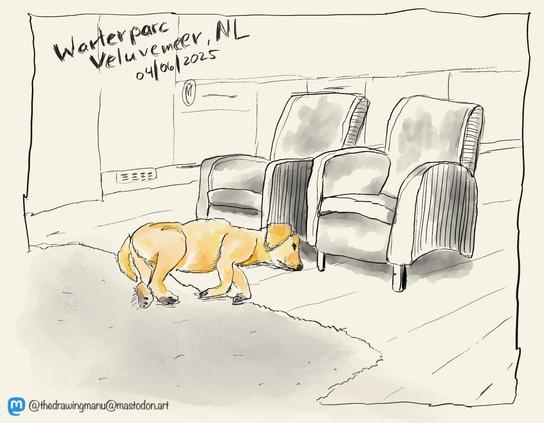 Urban Sketch: Ein Labrador liegt vor zwei Sesseln auf einem Teppich ein einem Wohnraum. Im Hintergrund ist eine Küchenzeile angedeutet.