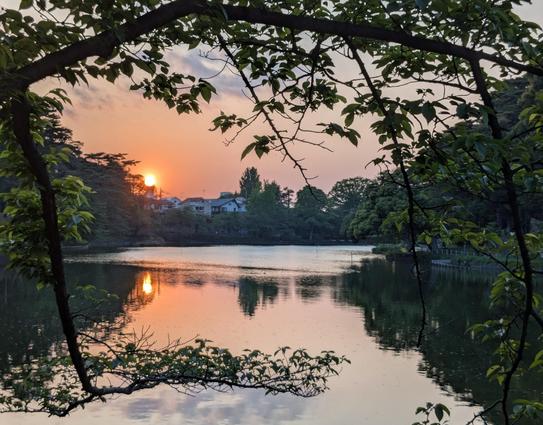 Ein Sonnenuntergang spiegelt sich in einem Teich.
Das Bild wird von grün belaubten Zweigen eingerahmt.