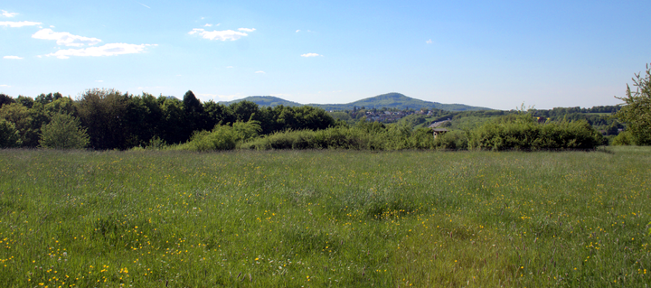 Wiese bei Bad Honnef. Im Hintergrund das Siebengebirge.