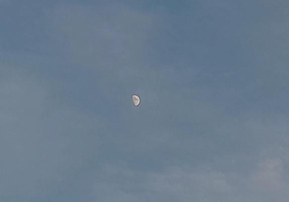 Half moon over the courtyard in the gloaming.