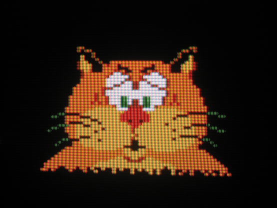 Close up of an orange cat. His expression suggests that he has just been kicked in the testicles.