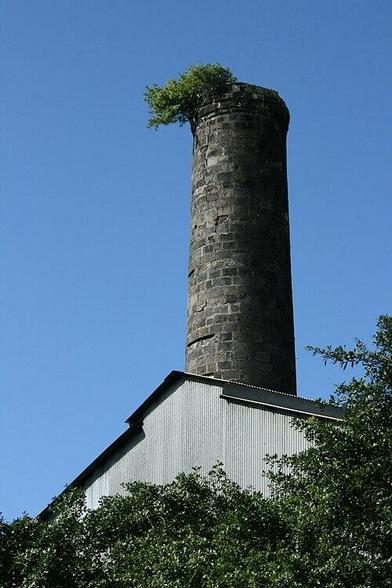 Cheminée dite de Quartier Français à #SainteSuzanne (#LaRéunion) La cheminée en totalité, y compris son terrain d'assiette (cad. BC 511) : inscription par arrêté du 2 mai 2002.
Suite 👉 https://monumentum.fr/monument-historique/pa97400078/sainte-suzanne-cheminee-dite-de-quartier-francais
#Patrimoine #MonumentHistorique
Photo CC-BY-SA 4.0 : Thierry Caro