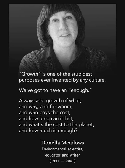 "Growth" is one of the stupidest purposes ever invented by any culture. We've got to have an "enough." Always ask: growth of what, and why, and for whom, and who pays the cost, and how long can it last, and what's the cost to the planet, and how much is enough? 

Donella Meadows Environmental scientist, educator and writer (1941- 2001)