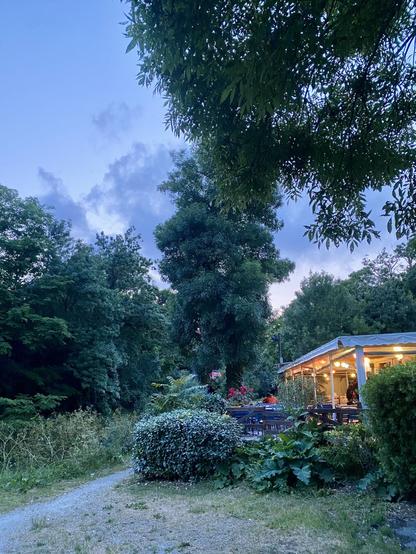 The backyard of a cocktail bar lit up in orange and red just after sunset. The yard is surrounded by large trees. A path along the yard leads into the woods.