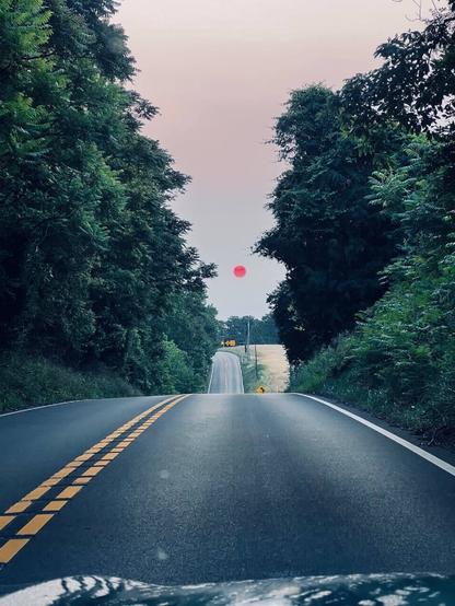 Photo taken down the road, trees flanking on both sides, with the sun centered, rising in a blood red color due to forest fire smoke haze.