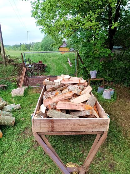 A trailer full of freshly split firewood, black alder to be specific. The background is a fence gate, an oak and a barn peeking out behind tall grass. On the left some not yet split logs are laying in a pile.