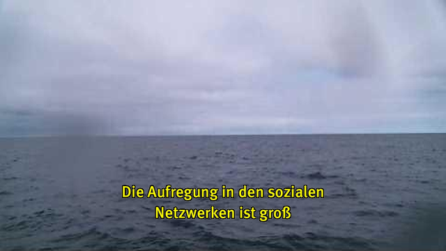 Webcam-Foto vom Meer, untertitelt mit gelber Schrift: "Die Aufregung in den sozialen Netzwerken ist groß"