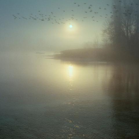This photograph shows the winter sunrise as seen from the island of Werd. A flock of birds is just passing by in the direction of the Rhine. It was a very cold morning and the thick fog only lifted shortly before I took this picture. The play of colors created by the light of the sun instantly transformed the landscape, which had been bathed in a grey, gloomy atmosphere just a short time before. Maybe that's why I still remember this morning so vividly today. 
Technical note: I used an analog medium format camera and negative film for this photo.