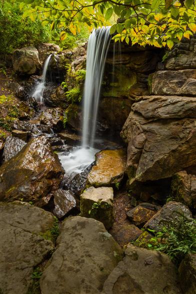 A vertical shot of a small, lush waterfall cascading over moss-covered rocks, surrounded by abundant greenery. The waterfall occupies the central part of the image. Water flows smoothly and swiftly down a roughly textured rock face. To the left of the main waterfall, a smaller, narrower stream of water tumbles down a less steep incline, creating mini cascades. The rocks vary in size and shape, from large, imposing boulders that frame the waterfall to smaller, smoother stones partially submerged in the flowing water. Their surfaces are a mix of earthy browns, dark grays, and deep greens. Some rocks appear wet and reflective. The top of the image is dominated by the vibrant green foliage of an overhanging tree.