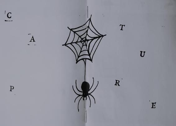 A doodle of a black spider and Web in the middle of the page is surrounded by stamped letters that spell out 'Capture.'
