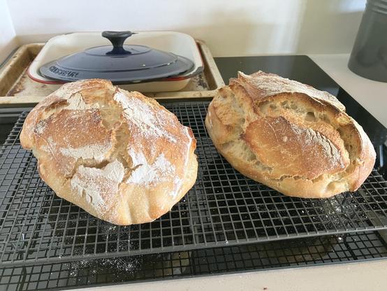 Two freshly cooked sourdough loaves cool on a rack.