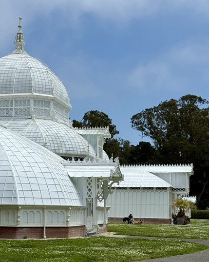 Conservatory of Flowers, White building with embellishments.