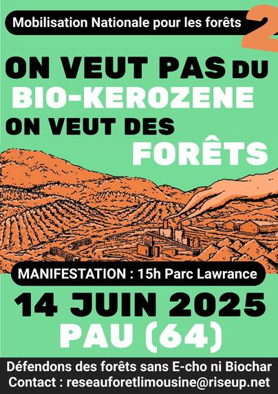 Affiche limousine pour la mobilisation du 15 juin : On veut pas du bio-kerozene, on veut des forêts.