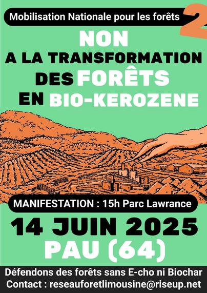 Affiche limousine pour la mobilisation du 15 juin : Non à la transformation des forêts en bio-kerozene.