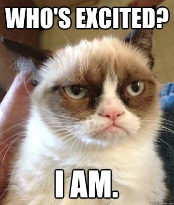 Excited cat not looking excited