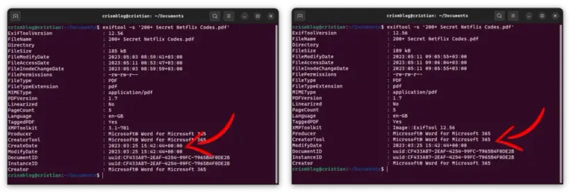 File metadata comparison