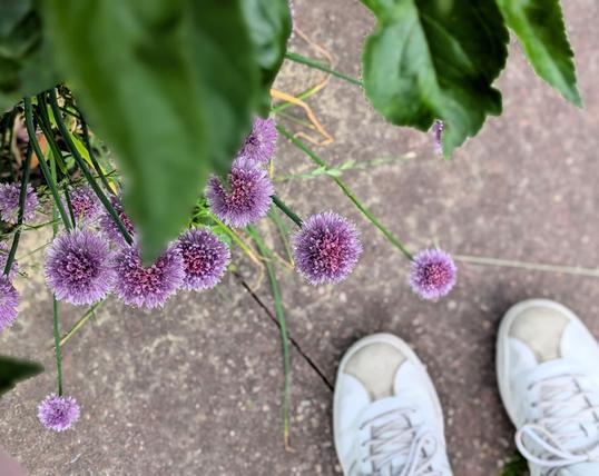 Nature Thursday