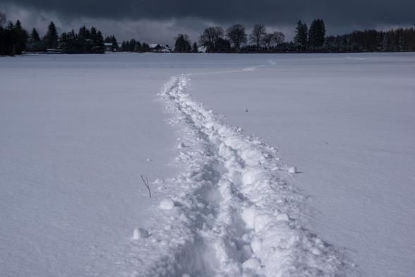 Spuren im Schnee. Quelle: R. Manig, DWD.