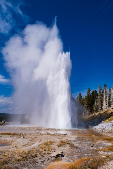 Grand Geyser erupts and towers over two people on the lower left. Runoff trickle towards the viewer over orange caked rocks.
© Tom Goetz. All rights reserved. Training an AI on this image is expressly forbidden.
