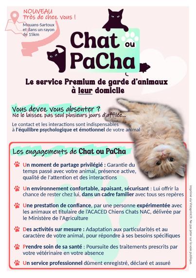 Page 1 du flyer Chat ou PaCha présentant le service proposé (Service Premium de garde d'animaux à leur domicile), et les engagements de qualité de la prestation.