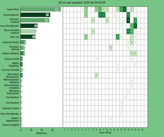 Chart generated by BirdNET-Pi with rows of all detected birds for Wednesday, June 04, 2025 in decending order.  The first large column displays a bar chart of relative frequency; the 24 reamaining columns create cells with the bird count for each hour of the day shaded by relative count.