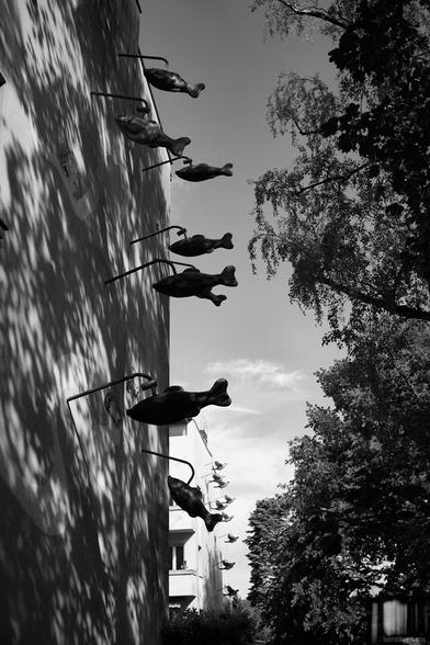 Monochrome photograph of fish sculptures attached to a house wall from Berlin, Germany.
