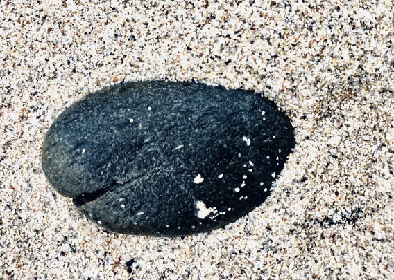 un galet aux allures de cachalot naïf ricane sur le sable