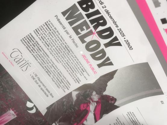 Photo d'une page du prochain programme du Pacbo (salle de spectacle à Orchie) où figure des bouées imprimées en rose fluo, argent et noir.