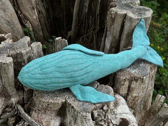 Ein großer gestrickter Buckelwal aus hellblauer Wolle mit Silberfäden liegt auf einem knorrigen Baumstumpf. Die Unterseite ist fotografiert, er sieht aus als würde er sich sonnen. Er ist ca. 60 cm lang und hat das charakteristische Rippenmuster an der Bauchseite.