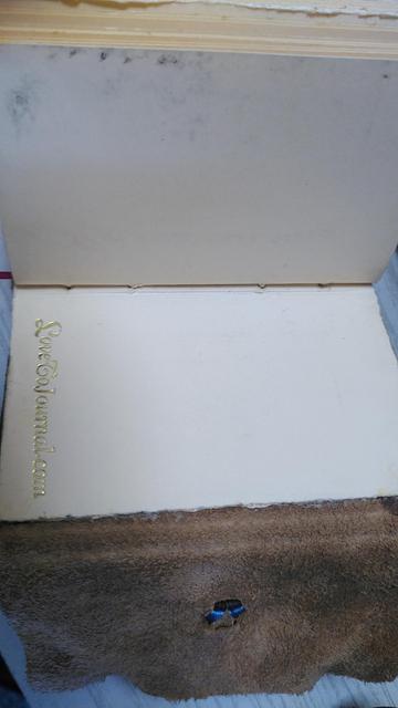 die letzte Seite mit der goldgeprägten Adresse LoveToJournal.com