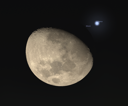 Moon v Spica