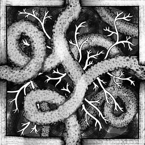 Eine Zeichnung eines Dungeons mit wirren Tunneln und weißen Wurzeln dazwischen