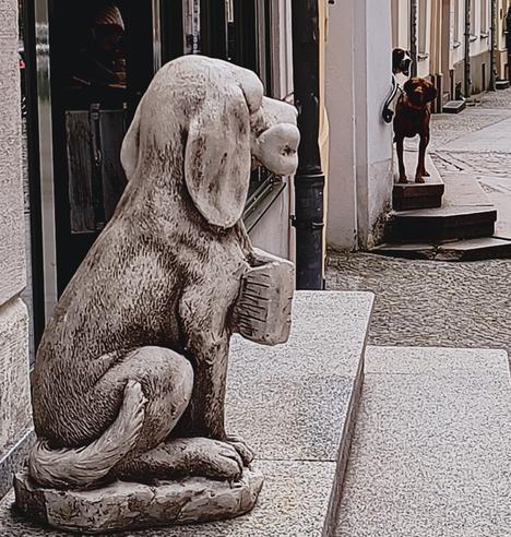 Stenen beeld van een hond op een stoep, terwijl verderop 2 echte honden om het hoekje van een portiek naar ons kijken.