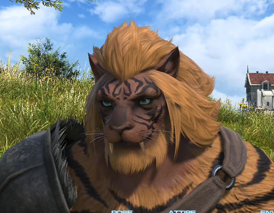 FF14 character creator showing a red-brown hrothgar with orange fur. A black striped tattoo on his face, and long sabertooth fangs.
