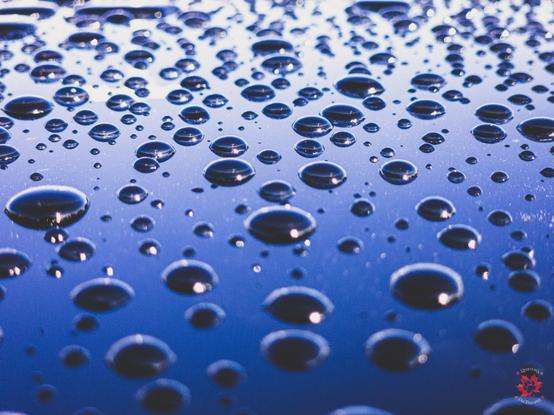 Macro photo of rain drops