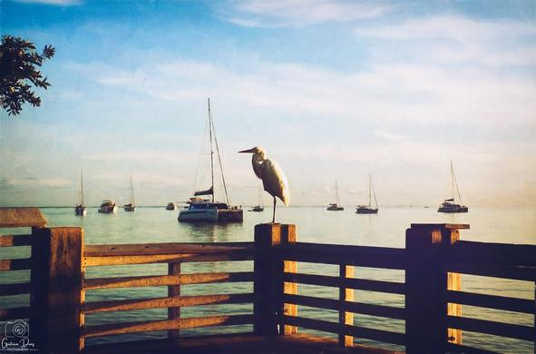 down many paths, but the best ones lead to the beach. ~ Unknown

Processed with VSCO with a5 preset