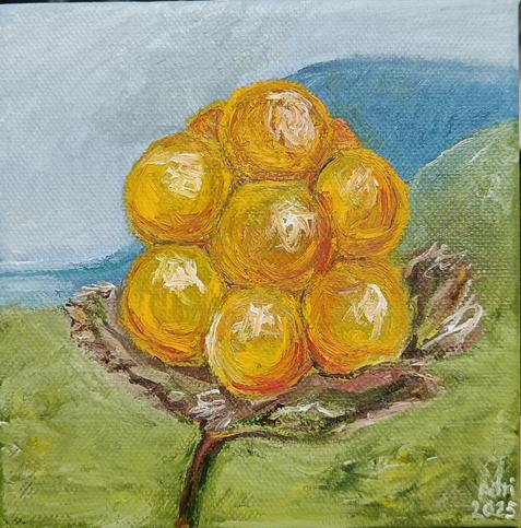 An oil painting of a cloud berry.